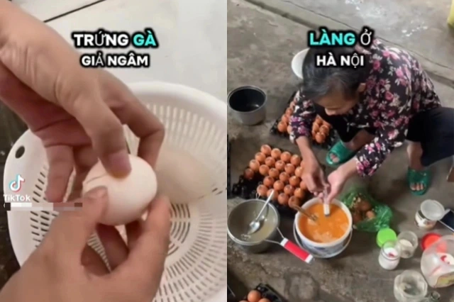Xôn xao thông tin sản xuất trứng gà giả ở Việt Nam, Hiệp hội Gia cầm lên tiếng